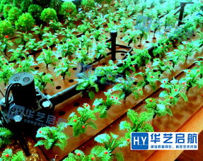 農(nóng)業(yè)沙盤 農(nóng)業(yè)沙盤設(shè)計(jì)方案