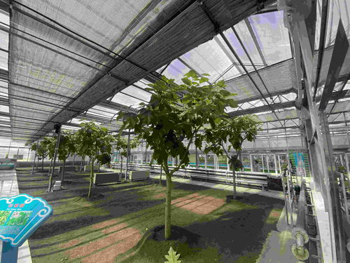 高質(zhì)量發(fā)展調(diào)研行丨在北大荒,農(nóng)產(chǎn)品有 絕活兒