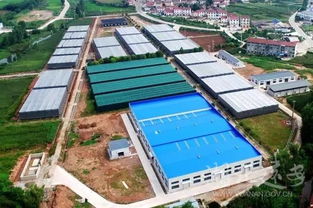 遠安鄉村 看 顏值 更看 氣質