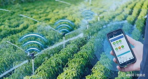 無(wú)線物聯(lián)助力農(nóng)業(yè)灌溉系統(tǒng)智能化