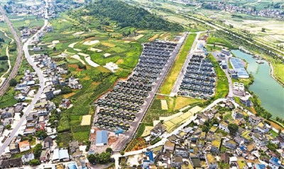 工廠化養(yǎng)殖的對(duì)蝦長啥樣