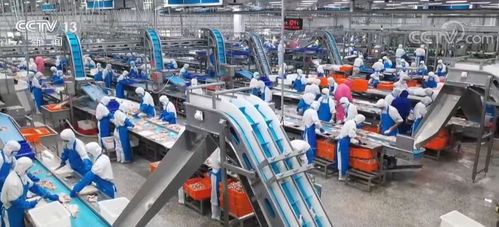 走進(jìn)縣城看發(fā)展 山東農(nóng)業(yè)大縣諸城食品產(chǎn)業(yè)總產(chǎn)值超400億元