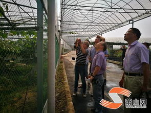 我區(qū)迎來創(chuàng)建 省級(jí)農(nóng)產(chǎn)品質(zhì)量安全放心縣 工作考評(píng)檢查