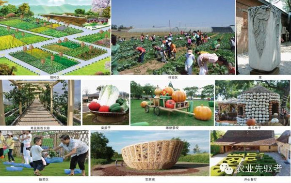 休閑農(nóng)業(yè)要發(fā)展,輕資產(chǎn)運營很重要_財經(jīng)_網(wǎng)