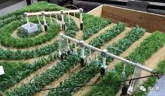 以色列農(nóng)業(yè)發(fā)展：農(nóng)業(yè)不只關(guān)乎農(nóng)民，更關(guān)乎科技創(chuàng)新與國家戰(zhàn)略