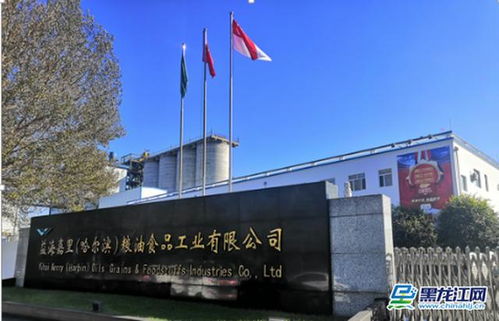 深耕龍江十余載 金龍魚糧油王者C位登創(chuàng)農(nóng)業(yè)開發(fā)