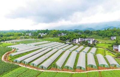 璧山 培育農(nóng)業(yè)新業(yè)態(tài)，城鄉(xiāng)融合書新卷