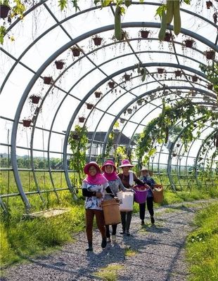 勇當鄉(xiāng)村振興“偵察兵”“先鋒隊”——瀏陽市國家級田園綜合體建設(shè)試點紀實