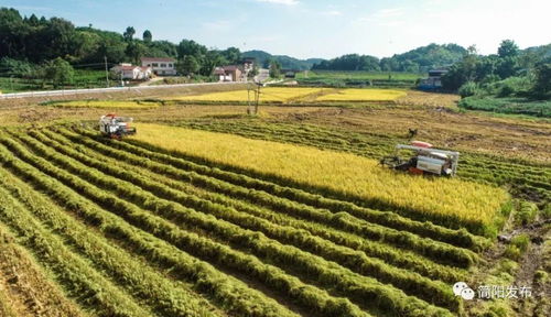 農業強 農村美 農民富 這樣的鄉村你愛了嗎