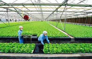 2017下半年這10個農業項目補貼不能再錯過！