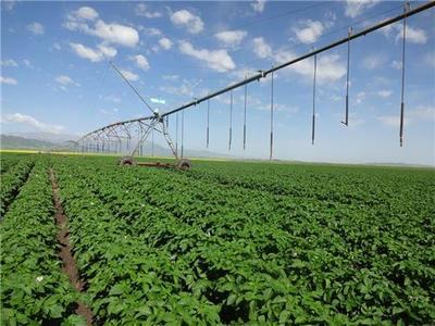 有機農業種植技術在中國的發展與應用——以貴州輝煌農業開發為例