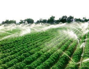 打破“靠天收” 精準農業引領現代農業發展新篇章