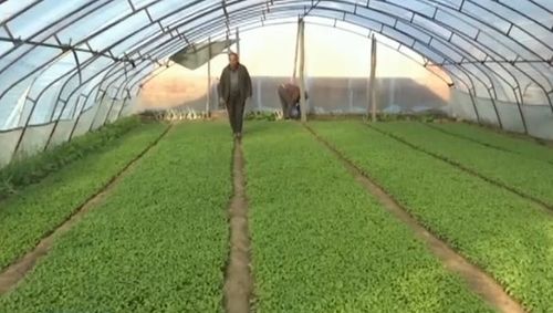 身份證可能被別人綁定微信支付？4步教你快速查詢與解綁