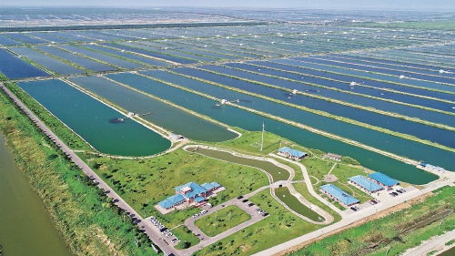 智慧農業浪潮下，農墾如何走在前列，引領農業開發新篇章