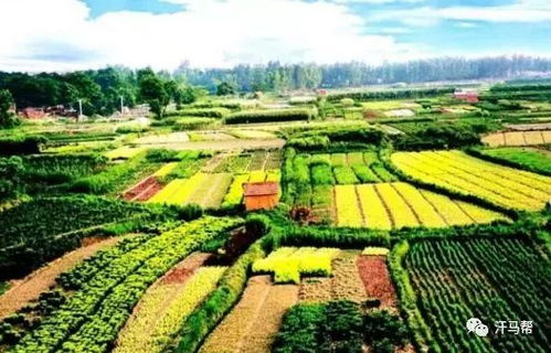 國家級田園綜合體的十大開發模式 農旅結合與農業開發新路徑